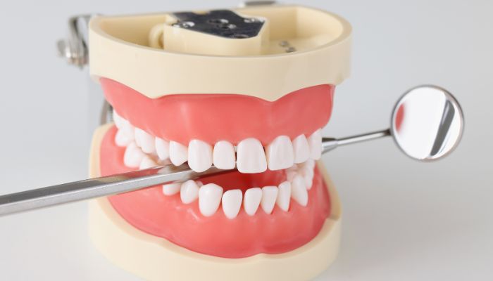 General Dentistry in Arlington, VA